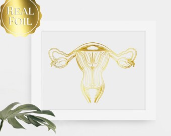 Uterus Anatomy - Female Reproductive System - Doula Gift - Midwife Gift - OBGYN Gift - Gold Anatomy Print - Doula Birth - Midwifery Art