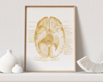 Neurosurgeon Gift - Neuroscience Art - Brain Anatomy Art Decor - Neurology