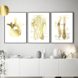 Chiropractic Art - Chiropractor Gift - Chiropractor Office Decor - Gold Foil Print - Osteopathy
