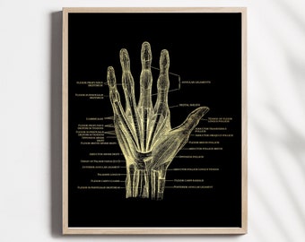 Fysiotherapeut Cadeau - Massagetherapeut Cadeau - Handspieranatomie - 8,5x11 inch