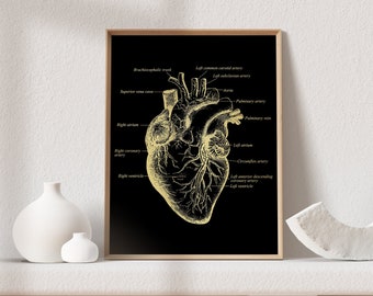 Cardiologist Gift - Cardiology Art - Anatomical Heart - Heart Surgeon Gift - Heart Gold Foil Print - 8.5x11 inches