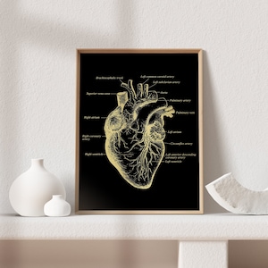 Cardiologist Gift - Cardiology Art - Anatomical Heart - Heart Surgeon Gift - Heart Gold Foil Print - 8.5x11 inches