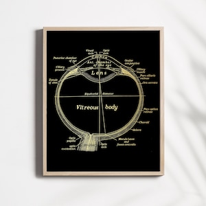 Optometrist Gift - Optometry Art - Optician Gift - Eye Anatomy - Gold Foil Print - 8.5x11 inches