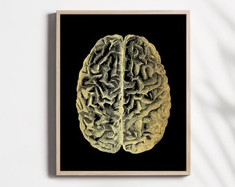 Brain Anatomy Art - Neurologist Gift - Neurology Art - Brain Surgeon Wall Art - 8.5x11 inches