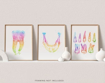 Dentist Gift - Orthodontist Gift - Dental Office Decor - Dental Anatomy Art Print Set - Watercolor Dental Art - DDS Gift - DMD Gift