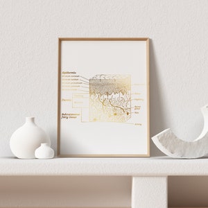 Esthetician Gift - Dermatologist Gift - Dermatology Print - Epidermis Art - Office Decor - Gold Print