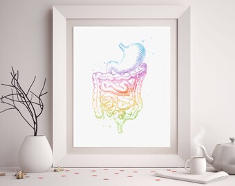 Intestines Art - Watercolor Anatomy Decor - GI Tract - Med Student Gift - Digestive System - Gastroenterology Gifts - Gastroenterology