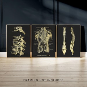 Regalo personalizado para quiropráctico: juego de 3 láminas artísticas personalizadas de quiropráctico: arte de la columna vertebral, arte de las vértebras, impresión en lámina dorada.