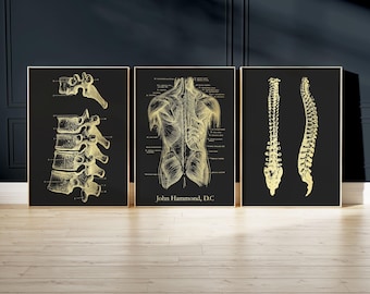 Custom Chiropractor Gift: Gold Foil Spine Art Print Set