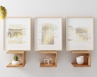 Dermatologist Gift - Dermatology Print - Epidermis Art - Esthetician Gift - Dermatology Office Decor