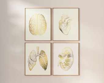 Doctor Gift - Medical Practitioner - Anatomy Art Print Set - Medical Student Gift - Gold Foil Print set - Medical Art - Heart Anatomy