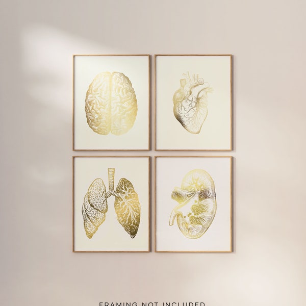 Doctor Gift - Medical Practitioner - Anatomy Art Print Set - Medical Student Gift - Gold Foil Print set - Medical Art - Heart Anatomy