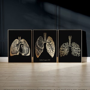 Custom Respiratory Therapist Gift 3 Piece Wall Art  - Personalized Lung Art Print - Pulmonologist Gift - CRT Gift - Foil Print - 8.5x11 inch