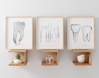 Dentist Gift - Orthodontist Gift - Dental Anatomy Art Print Set - Dental Art - Dental Office Decor