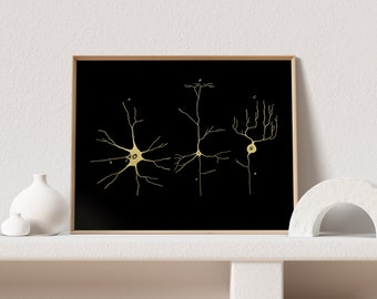 Neuron Art - Neurosurgeon Gift - Neuroscience Gifts - Nerve Cells - Cell Biology - Neurology Gold Foil Print - 8.5x11 inches
