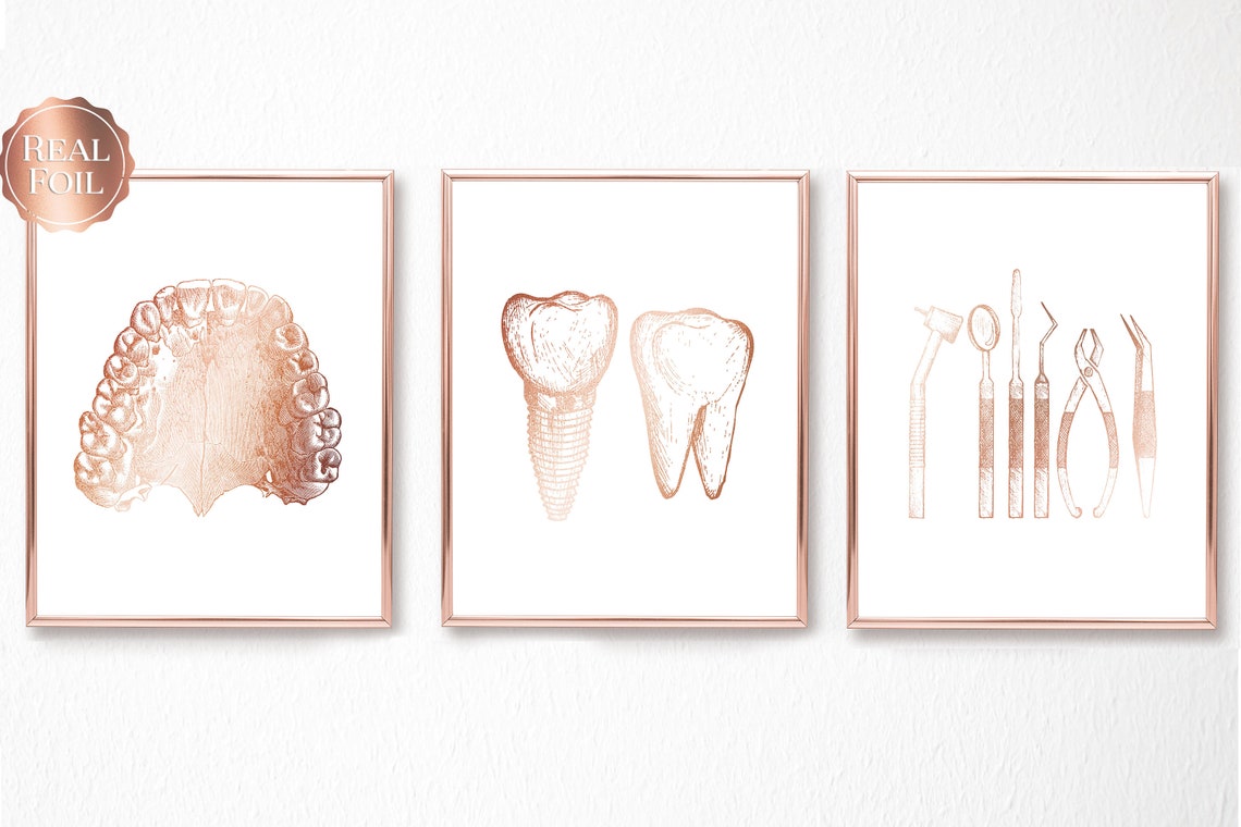 Dental Anatomy Art Print Set Dental Art Dental Office Etsy