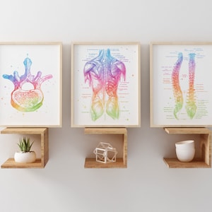 Chiropractor Gift - Chiropractic Art - Watercolor Chiropractor Print - Office Decor - Osteopathy