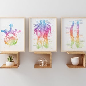 Cadeau chiropraticien - art chiropratique - impression aquarelle chiropraticien - décoration de bureau - ostéopathie