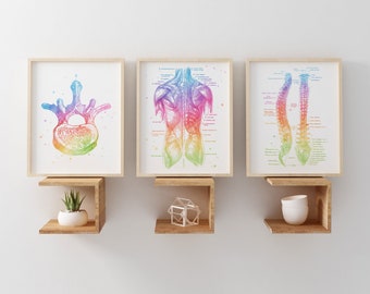 Chiropractor Gift - Chiropractic Art - Watercolor Chiropractor Print - Office Decor - Osteopathy