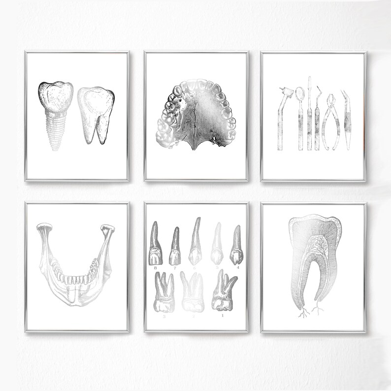 Dental Wall Art Set of 6 Prints Dentist Gift Orthodontist Etsy