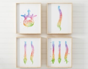 Chiropractic Art - Chiropractor Gift -  Spine Art Print Set of 4