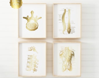 Chiropractor Gift - Chiropractic Art - Chiropractor Print - Gold Foil - Office Decor - Osteopathy