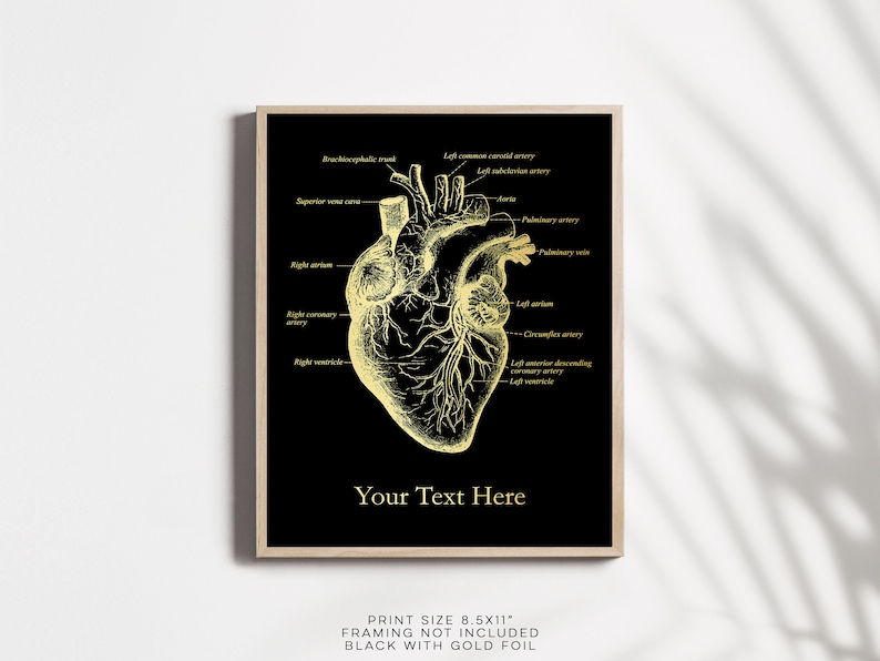 K&ouml;nnte beinhalten: Goldfolie-Druck eines menschlichen Herzens mit anatomischen Beschriftungen auf schwarzem Hintergrund. Der Text "Your Text Here" befindet sich am unteren Rand des Drucks. Druckgr&ouml;&szlig;e: 21,6 x 27,9 cm. Rahmen nicht im Lieferumfang enthalten.