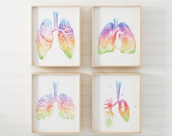 Respiratory Therapist Gift - Lung Anatomy Print Set - Watercolor Lung Art - Set of 4 - Pulmonologist Gift - Pulmonology