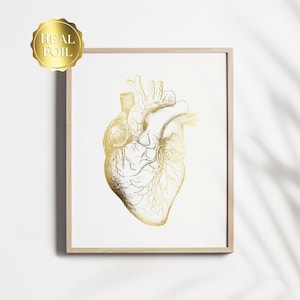 Cardiologist Gift - Anatomical Heart Print - Heart Surgeon Gift - Cardiology Art - Heart Gold Foil Print