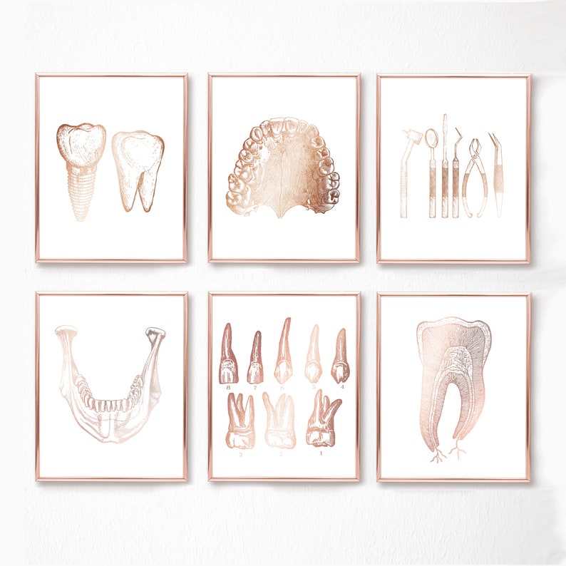 Dental Wall Art Set of 6 Prints Dentist Gift Orthodontist Etsy