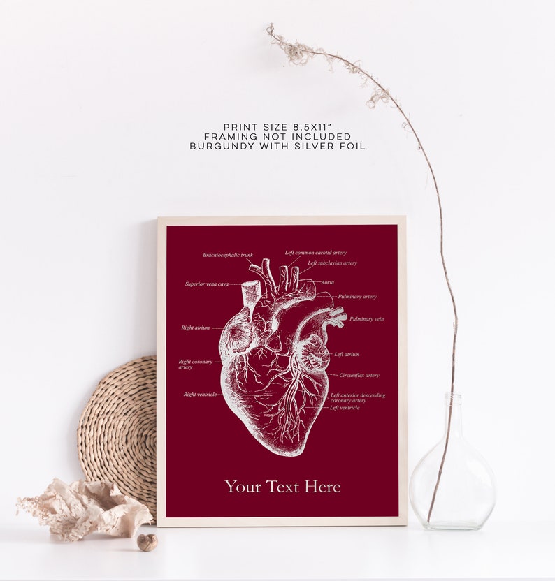 K&ouml;nnte beinhalten: Eine druckbare anatomische Herzillustration mit beschrifteten Teilen, gedruckt auf einem burgunderfarbenen Hintergrund mit Silberfolie. Die Druckgr&ouml;&szlig;e betr&auml;gt 8,5x11 Zoll. Der Text "Your Text Here" befindet sich am unteren Rand des Drucks.