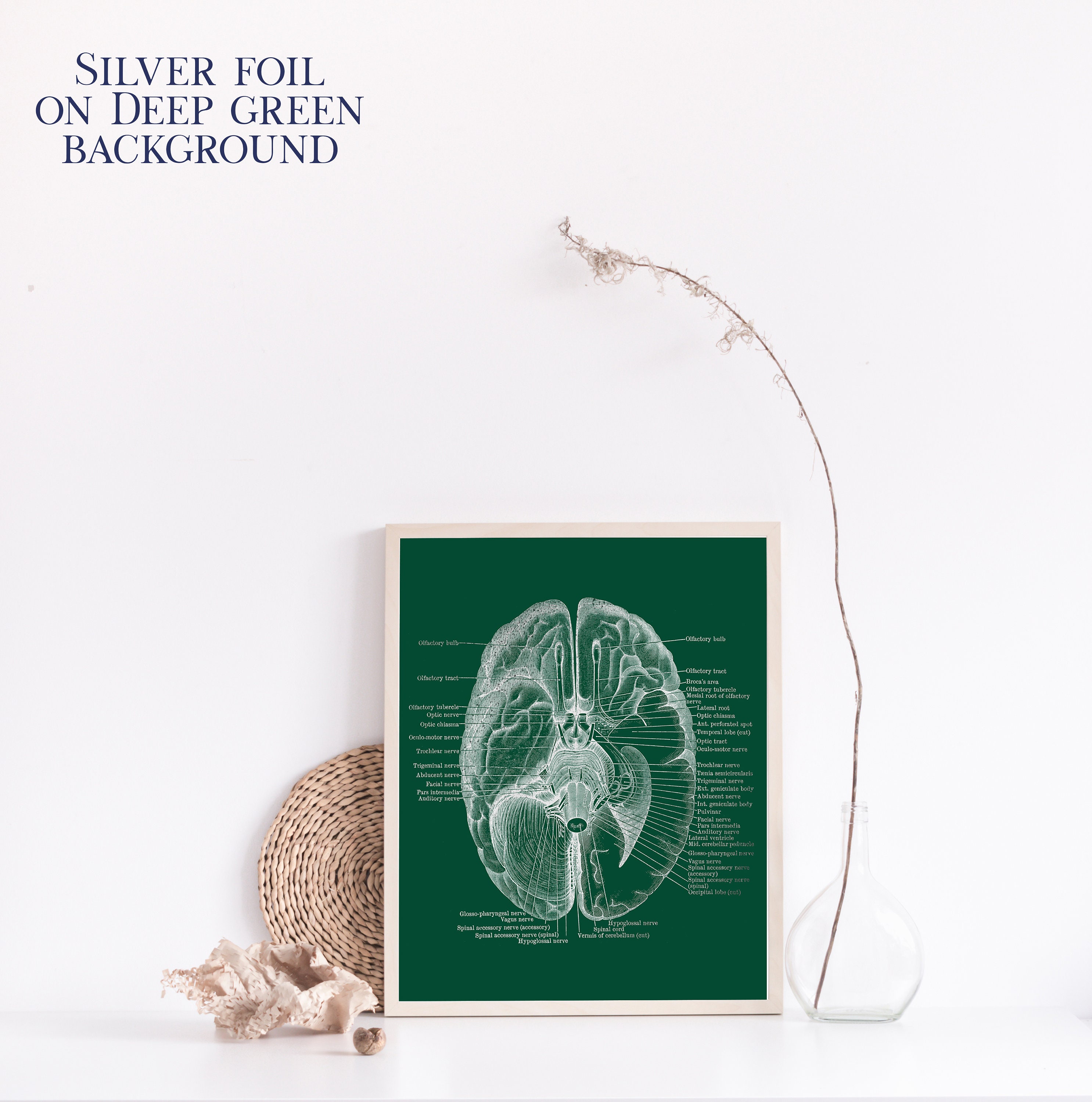 Brain Anatomy Print - Neuroscience Gift - Neurosurgeon Gift - Gold Foil ...