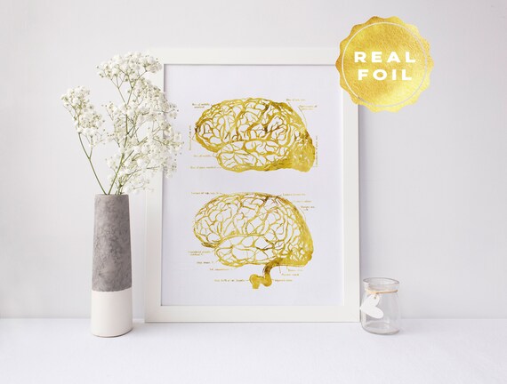 Brain Anatomy Print Gold Foil Brain Wall Art Anatomy Art Etsy