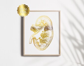 Kidney Donor Gift - Kidneyversary - Kidney Transplant Gift - Nephrologist Gift - Urologist Gift
