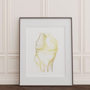 Knee Anatomy - Orthopedic Surgeon Gift - Gold Foil Print - 11x14