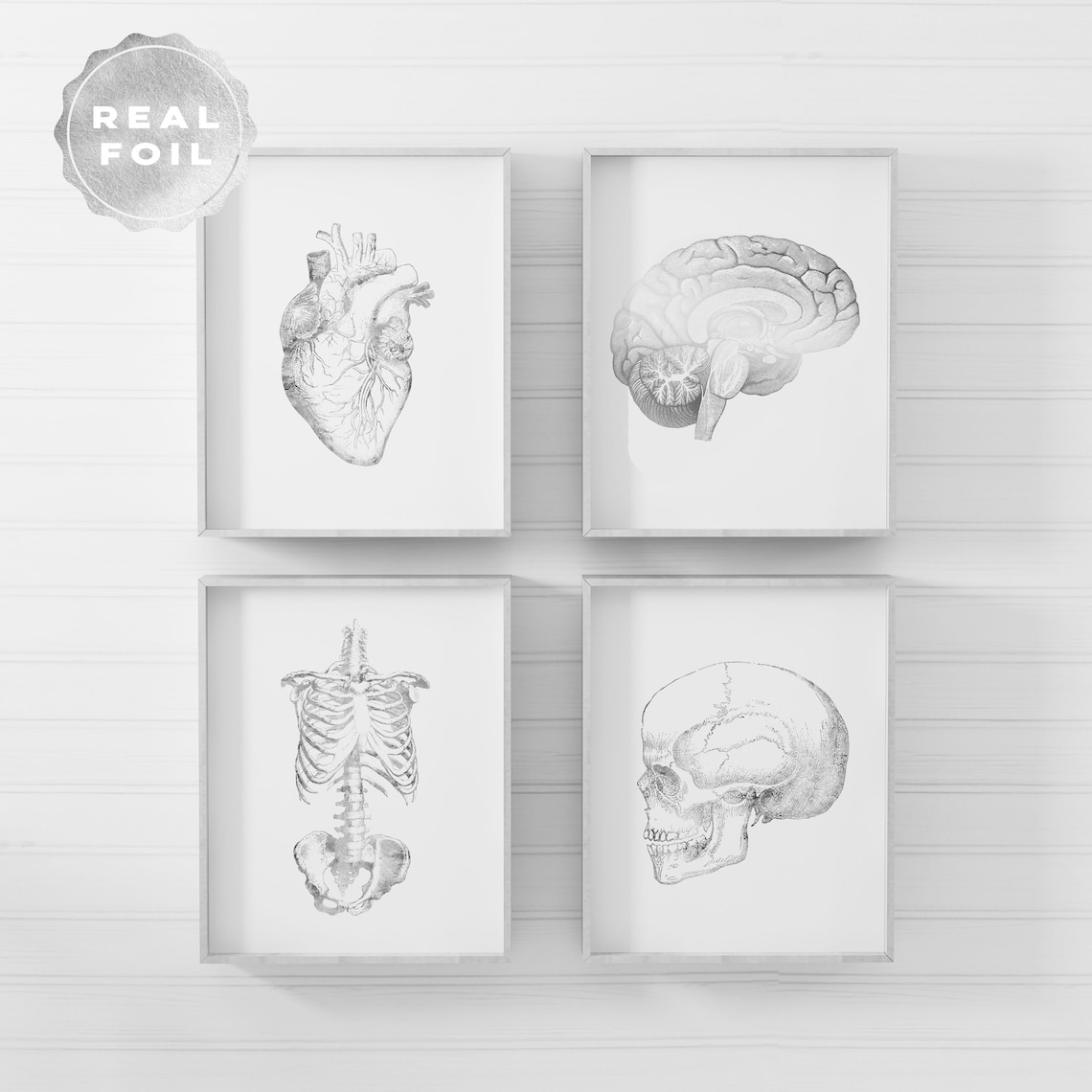 Anatomy Art Print Set Medical Student Gift Anatomy Decor - Etsy