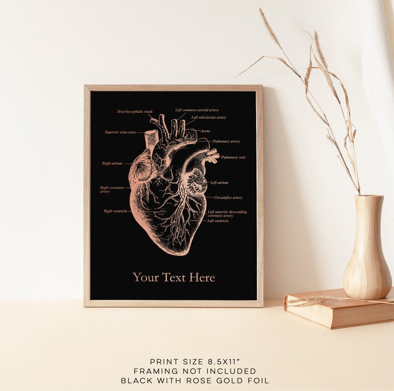 K&ouml;nnte beinhalten: Ein anatomischer Herz-Druck in Schwarz und Ros&eacute;gold mit beschrifteten Teilen. Der Druck ist gerahmt und misst 8,5 x 11 Zoll. Der Text "Your Text Here" befindet sich am unteren Rand des Drucks.