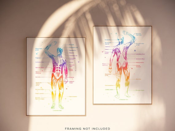 Physical Therapist Gift Massage Therapist Gift Masseuse