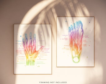 Cadeau de physiothérapeute - Cadeau de massothérapeute - Anatomie musculaire de la main - Anatomie musculaire du pied - Ensemble de 2 - Art mural aquarelle