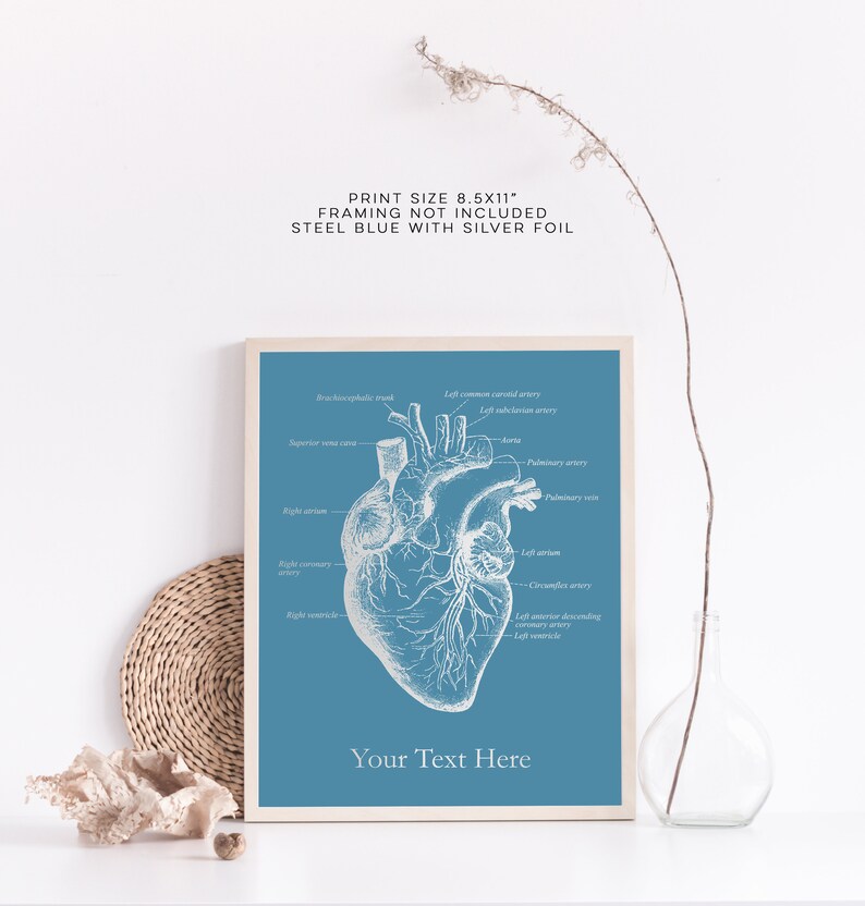 K&ouml;nnte beinhalten: Eine Vintage-anatomische Illustration des menschlichen Herzens auf einem stahlblauen Hintergrund mit silbernen Folienakzenten. Der Druck ist 8,5 Zoll mal 11 Zoll gro&szlig; und enth&auml;lt den Text "Your Text Here".