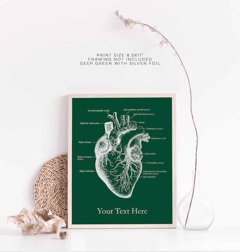 K&ouml;nnte beinhalten: Eine druckbare anatomische Herzillustration im Format 8,5 x 11 Zoll mit beschrifteten Teilen. Das Bild ist auf tiefgr&uuml;nem Papier mit silbernen Folienakzenten gedruckt. Der Text "Your Text Here" befindet sich am unteren Rand des Bildes.