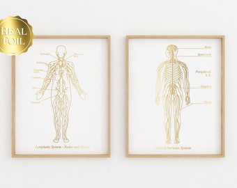 Nervous System Art - Lymphatic System Art - Neurologist Gift - Lymphologist Gift - Gold Foil Print