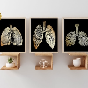 Respiratory Therapist Gift - Lung Art Print Set of 3 - Pulmonologist Gift - Foil Print - 8.5x11 inches