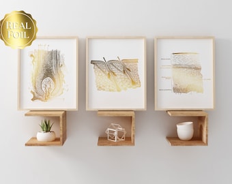 Dermatologist Gift - Dermatology Print - Epidermis Art - Esthetician Gift - Office Wall Art - Skin Anatomy - Histology Art - Beauty School