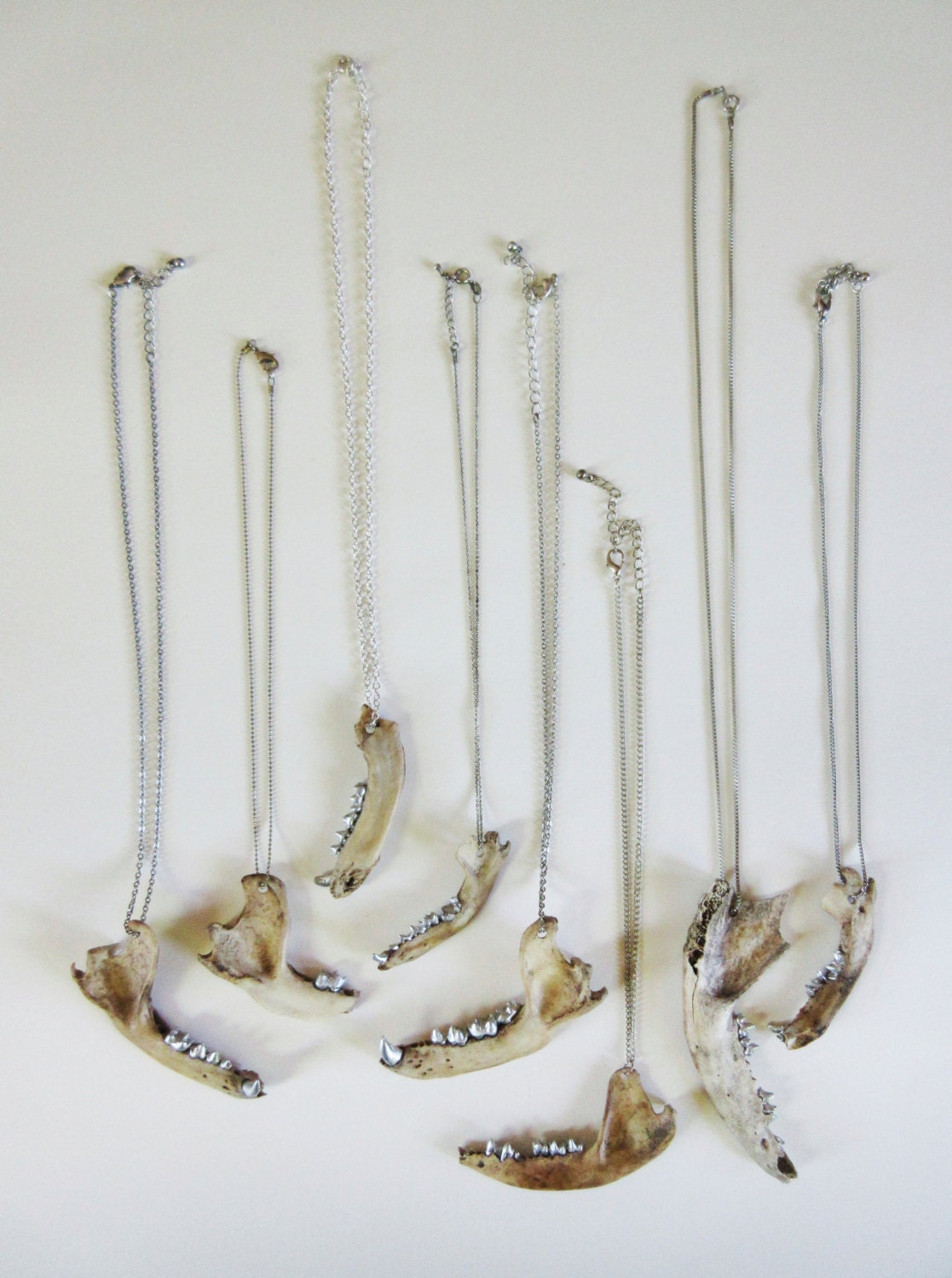 Raccoon Jaw Necklace Jawbone Gold Teeth Chain Canine Gilded Natural