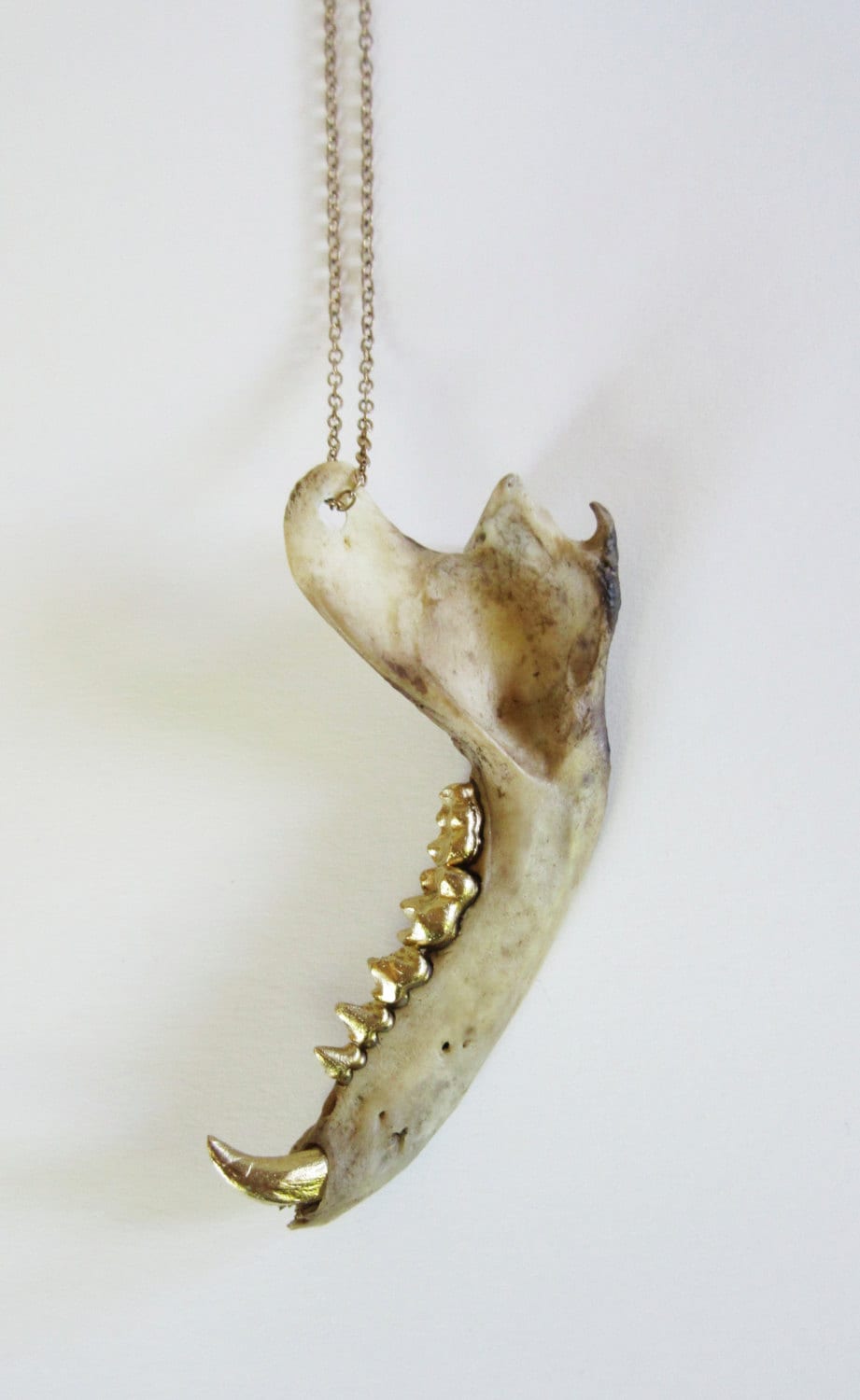 Raccoon Jaw Necklace Jawbone Gold Teeth Chain Canine Gilded Etsy