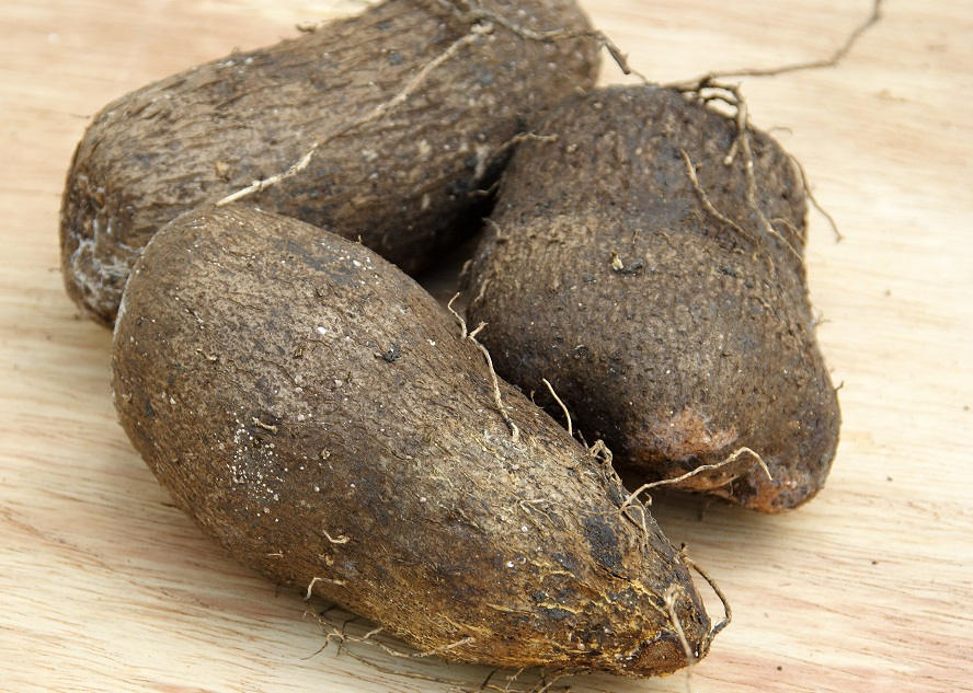 Caribbean Soft Yam Real Yam Not Sweet potato dioscorea | Etsy