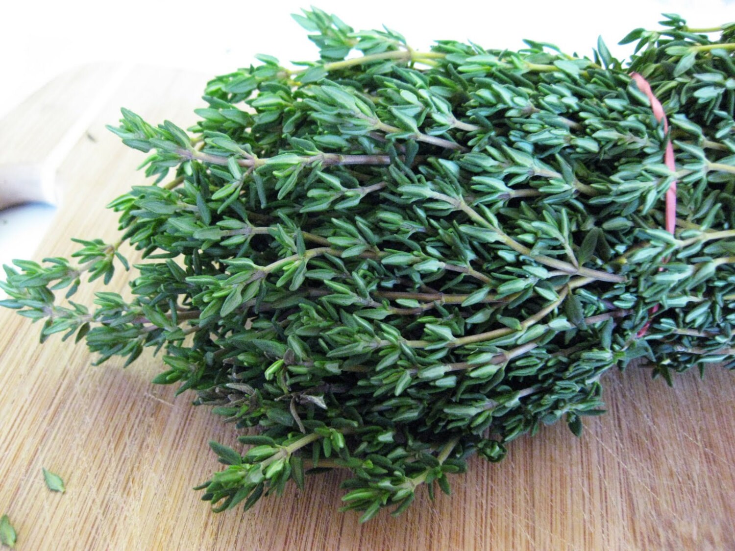 Herb Seeds Garden Thyme or English Thyme. Thymus Vulgaris Etsy