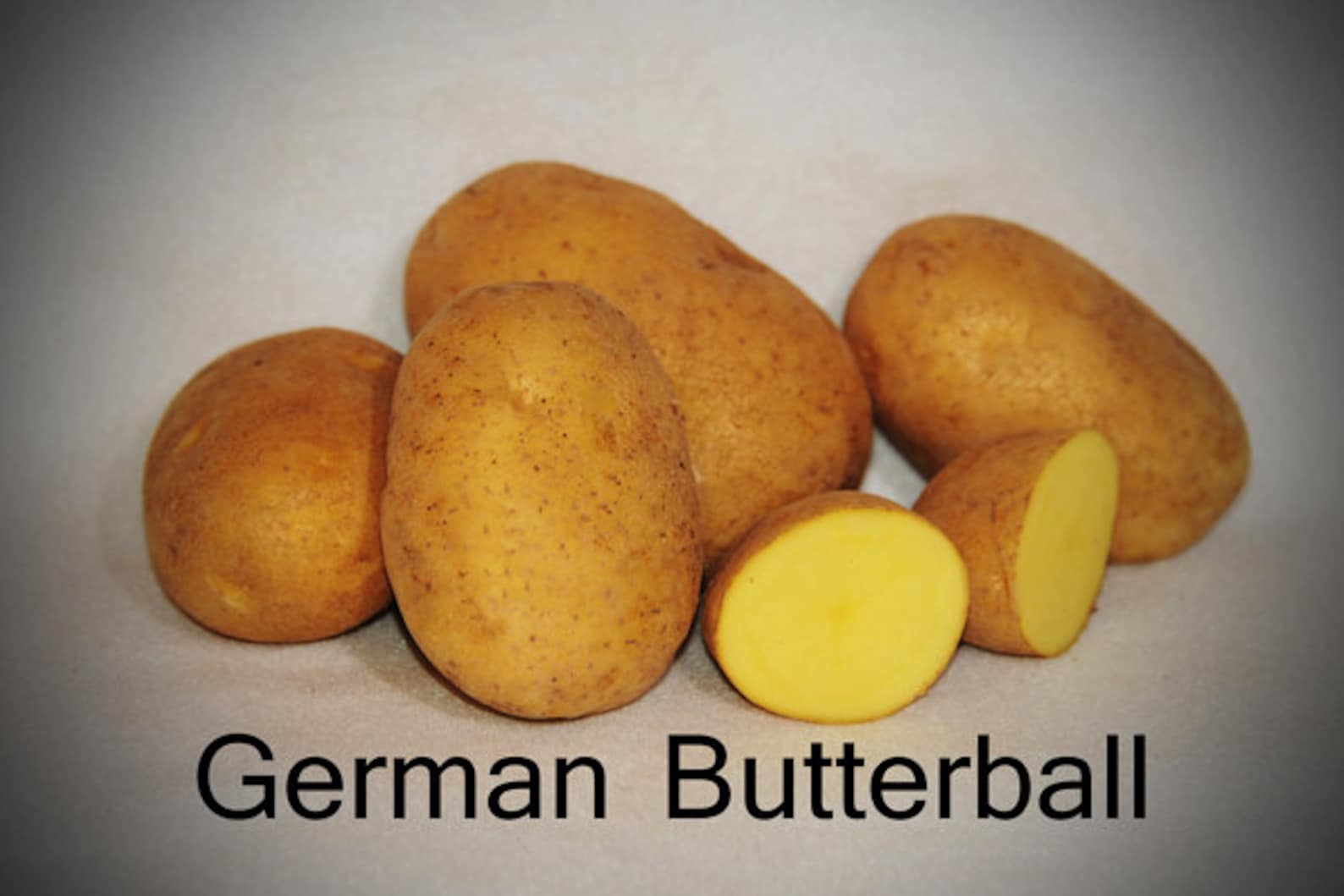 What Is A German Butterball Potato At David Rowland Blog What Is A German Butterball Potato At David Rowland Blog