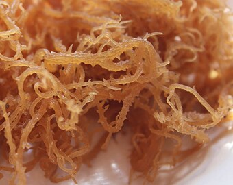 Sea Moss (Raw) - IRISH MOSS ,Chondrus Crispus,JAMAICAN Iris Moss Drink recipe,Below